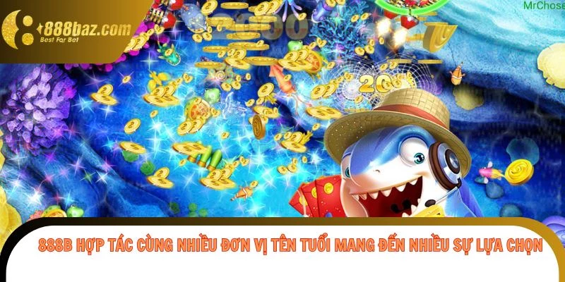888b hợp tác cùng nhiều đơn vị tên tuổi mang đến nhiều sự lựa chọn