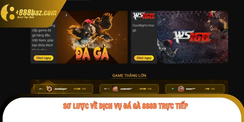 Sơ lược về dịch vụ Đá Gà 888b trực tiếp