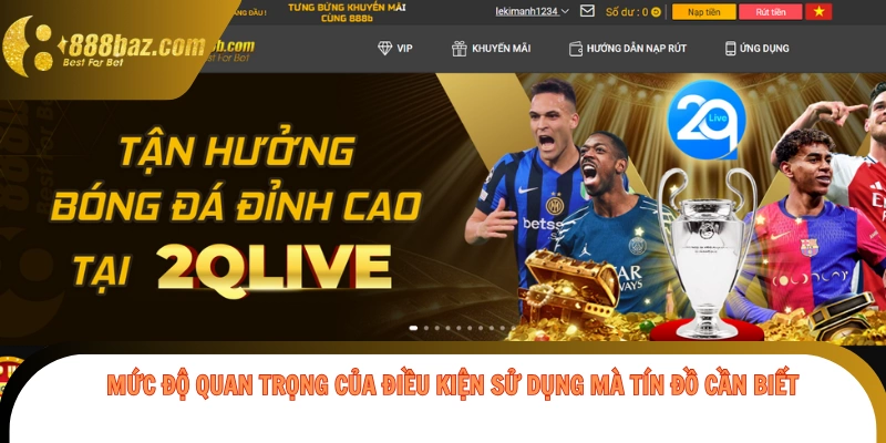 Mức độ quan trọng của điều kiện sử dụng mà tín đồ cần biết